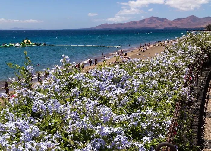 Appartement Bluesea El Dorado Puerto del Carmen (Lanzarote)